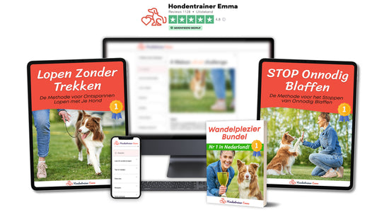 Ultimate Dog Walking Bundle